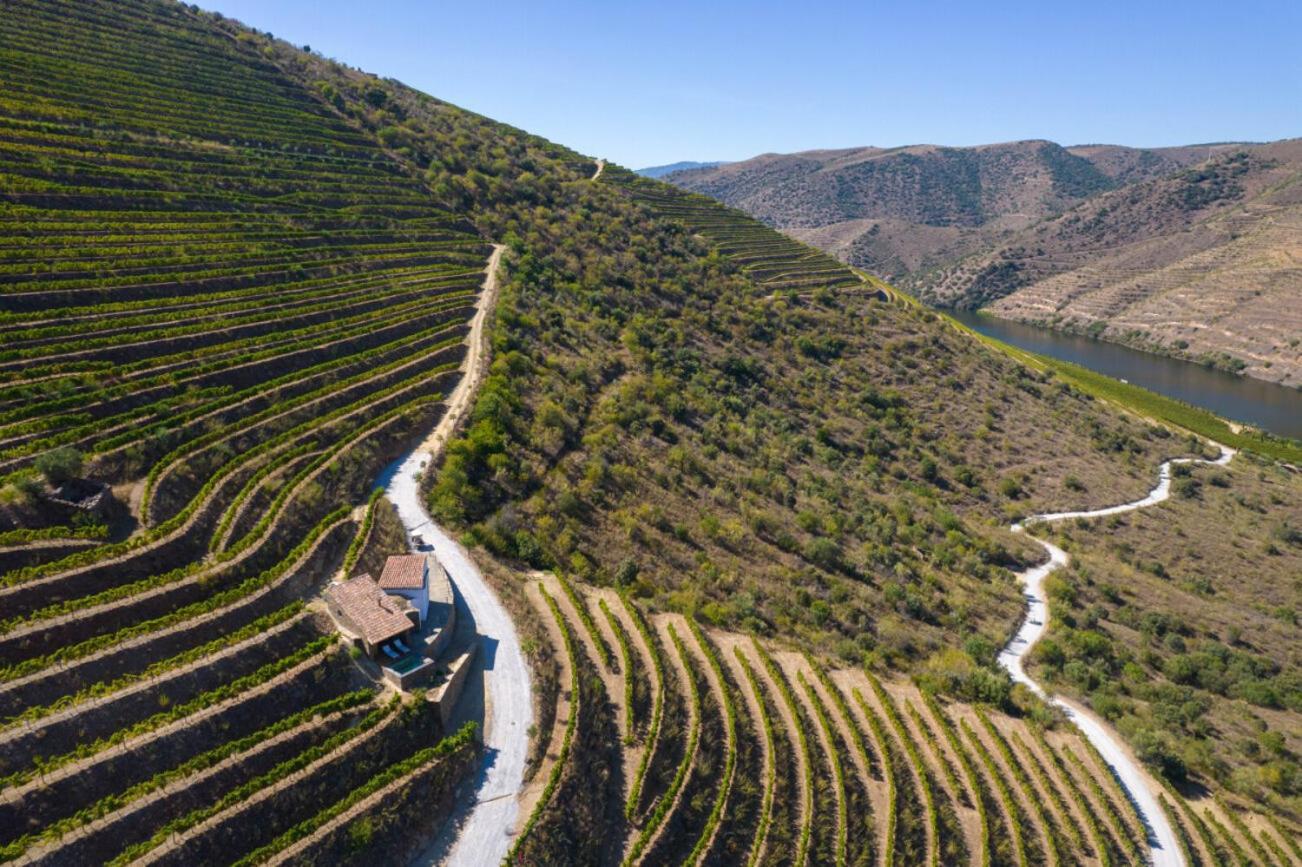 Casa Do Rio - Douro Wine Hotel By Vallado Vila Nova de Fozcoa Exteriör bild